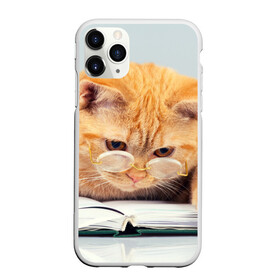 Чехол для iPhone 11 Pro матовый с принтом Кот ученый в Белгороде, Силикон |  | грустный | добрый | животное | киса | киска | кот | котенок | котэ | кошка | красивый | лапа | лапка | ласковый | милый | очки | прикольный | рыжий | смешной | унылый | усатый | шерсть