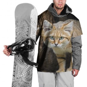 Накидка на куртку 3D с принтом Песчаный кот в Белгороде, 100% полиэстер |  | грустный | добрый | животное | киса | киска кися | кот | котенок | котэ | кошка | красивый | лапа | лапка | ласковый | милый | моська | мурлыка | прикольный | смешной | унылый | усатый | шерсть