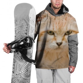 Накидка на куртку 3D с принтом Рыжий кот в Белгороде, 100% полиэстер |  | грустный | добрый | животное | киса | киска кися | кот | котенок | котэ | кошка | красивый | лапа | лапка | ласковый | милый | моська | мурлыка | прикольный | смешной | унылый | усатый | шерсть