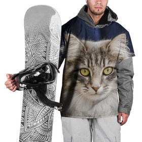 Накидка на куртку 3D с принтом Серый кот в Белгороде, 100% полиэстер |  | грустный | добрый | животное | киса | киска кися | кот | котенок | котэ | кошка | красивый | лапа | лапка | ласковый | милый | моська | мурлыка | прикольный | смешной | унылый | усатый | шерсть