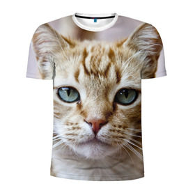 Мужская футболка 3D спортивная с принтом Рыжий кот, зеленые глаза в Белгороде, 100% полиэстер с улучшенными характеристиками | приталенный силуэт, круглая горловина, широкие плечи, сужается к линии бедра | грустный | добрый | животное | киса | киска кися | кот | котенок | котэ | кошка | красивый | лапа | лапка | ласковый | милый | моська | мурлыка | прикольный | смешной | унылый | усатый | шерсть