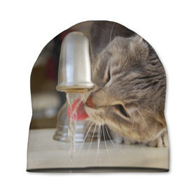 Шапка 3D с принтом Кот пьющий воду из под крана в Белгороде, 100% полиэстер | универсальный размер, печать по всей поверхности изделия | Тематика изображения на принте: 