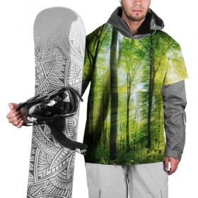 Накидка на куртку 3D с принтом Солнечный лес в Белгороде, 100% полиэстер |  | деревья | зелень | лес | лето | лучи солнца | солнце | тайга