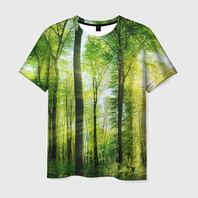 Мужская футболка 3D с принтом Солнечный лес в Белгороде, 100% полиэфир | прямой крой, круглый вырез горловины, длина до линии бедер | деревья | зелень | лес | лето | лучи солнца | солнце | тайга