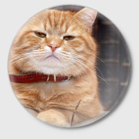Значок с принтом Рыжий кот в Белгороде,  металл | круглая форма, металлическая застежка в виде булавки | Тематика изображения на принте: грустный | добрый | животное | киса | киска кися | кот | котенок | котэ | кошка | красивый | лапа | лапка | ласковый | милый | моська | мурлыка | прикольный | смешной | унылый | усатый | шерсть