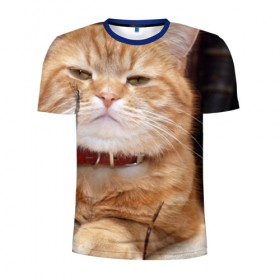 Мужская футболка 3D спортивная с принтом Рыжий кот в Белгороде, 100% полиэстер с улучшенными характеристиками | приталенный силуэт, круглая горловина, широкие плечи, сужается к линии бедра | грустный | добрый | животное | киса | киска кися | кот | котенок | котэ | кошка | красивый | лапа | лапка | ласковый | милый | моська | мурлыка | прикольный | смешной | унылый | усатый | шерсть