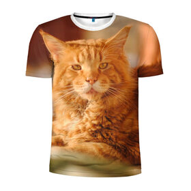 Мужская футболка 3D спортивная с принтом Рыжий кот в Белгороде, 100% полиэстер с улучшенными характеристиками | приталенный силуэт, круглая горловина, широкие плечи, сужается к линии бедра | грустный | добрый | животное | киса | киска кися | кот | котенок | котэ | кошка | красивый | лапа | лапка | ласковый | милый | моська | мурлыка | прикольный | смешной | унылый | усатый | шерсть