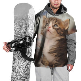 Накидка на куртку 3D с принтом Котенок в Белгороде, 100% полиэстер |  | грустный | добрый | животное | киса | киска кися | кот | котенок | котэ | кошка | красивый | лапа | лапка | ласковый | милый | моська | мурлыка | прикольный | смешной | унылый | усатый | шерсть