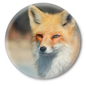 Значок с принтом Лисица в Белгороде,  металл | круглая форма, металлическая застежка в виде булавки | fox | животное | зверь | красивая | лес | лис | лиса | лисенок | лисица | лисичка | мех | патрикеевна | песец | плутовка | прикольная | природа | рыжая | рыжий цвет | сказка | хвост | хитрая | хищник