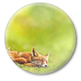 Значок с принтом Лисичка спит в Белгороде,  металл | круглая форма, металлическая застежка в виде булавки | fox | животное | зверь | красивая | лес | лис | лиса | лисенок | лисица | лисичка | мех | патрикеевна | песец | плутовка | прикольная | природа | рыжая | рыжий цвет | сказка | хвост | хитрая | хищник