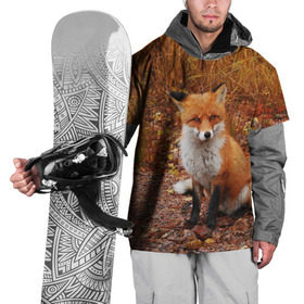 Накидка на куртку 3D с принтом Лиса в Белгороде, 100% полиэстер |  | Тематика изображения на принте: fox | животное | зверь | красивая | лес | лис | лиса | лисенок | лисица | лисичка | мех | патрикеевна | песец | плутовка | прикольная | природа | рыжая | рыжий цвет | сказка | хвост | хитрая | хищник