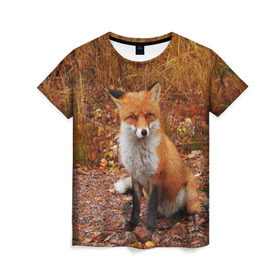 Женская футболка 3D с принтом Лиса в Белгороде, 100% полиэфир ( синтетическое хлопкоподобное полотно) | прямой крой, круглый вырез горловины, длина до линии бедер | fox | животное | зверь | красивая | лес | лис | лиса | лисенок | лисица | лисичка | мех | патрикеевна | песец | плутовка | прикольная | природа | рыжая | рыжий цвет | сказка | хвост | хитрая | хищник
