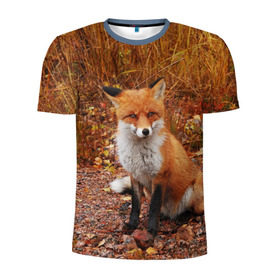Мужская футболка 3D спортивная с принтом Лиса в Белгороде, 100% полиэстер с улучшенными характеристиками | приталенный силуэт, круглая горловина, широкие плечи, сужается к линии бедра | fox | животное | зверь | красивая | лес | лис | лиса | лисенок | лисица | лисичка | мех | патрикеевна | песец | плутовка | прикольная | природа | рыжая | рыжий цвет | сказка | хвост | хитрая | хищник