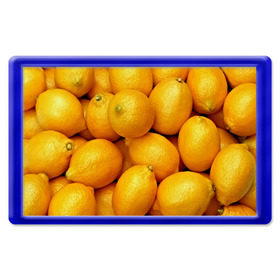 Магнит 45*70 с принтом Лимончики в Белгороде, Пластик | Размер: 78*52 мм; Размер печати: 70*45 | 3d | витамин | еда | желтый | лето | лимон | много | пища | прикольные | сочные | фрукты | цитрус | яркие