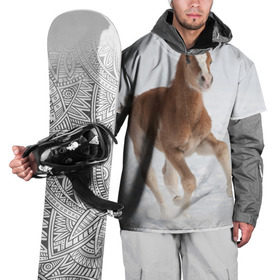 Накидка на куртку 3D с принтом Жеребенок в Белгороде, 100% полиэстер |  | вожжи | голоп | грация | езда | есаул | жеребец | животное | кобыла | кобылица | конь | копыта | копыто | лошадь | пегас | пони | рысак | сбруя | скакун | скачет | скачка | стойло | троя