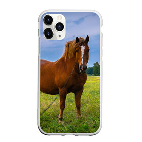 Чехол для iPhone 11 Pro Max матовый с принтом Конь в Белгороде, Силикон |  | Тематика изображения на принте: вожжи | голоп | грация | езда | есаул | жеребец | животное | кобыла | кобылица | конь | копыта | копыто | лошадь | пегас | пони | рысак | сбруя | скакун | скачет | скачка | стойло | троя