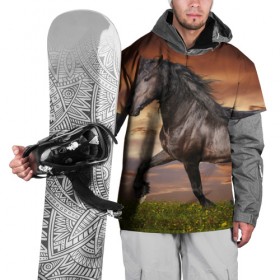 Накидка на куртку 3D с принтом Черный конь в Белгороде, 100% полиэстер |  | вожжи | голоп | грация | езда | есаул | жеребец | животное | кобыла | кобылица | конь | копыта | копыто | лошадь | пегас | пони | рысак | сбруя | скакун | скачет | стойло | троя