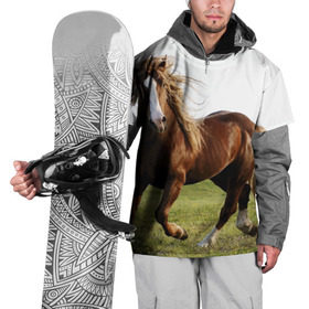 Накидка на куртку 3D с принтом Лошадь в Белгороде, 100% полиэстер |  | вожжи | голоп | грация | езда | есаул | жеребец | животное | кобыла | кобылица | конь | копыта | копыто | лошадь | пегас | пони | рысак | сбруя | скакун | скачет | стойло | троя