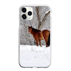 Чехол для iPhone 11 Pro матовый с принтом Лошадка в зимнем лесу в Белгороде, Силикон |  | вожжи | голоп | грация | езда | есаул | жеребец | животное | кобыла | кобылица | конь | копыта | копыто | лошадь | пегас | пони | рысак | сбруя | скакун | скачет | скачка | стойло | троя