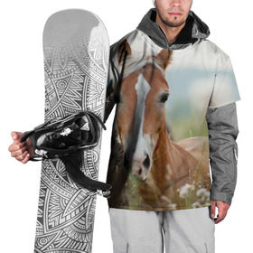 Накидка на куртку 3D с принтом Лошадь в Белгороде, 100% полиэстер |  | вожжи | голоп | грация | езда | есаул | жеребец | животное | кобыла | кобылица | конь | копыта | копыто | лошадь | пегас | пони | рысак | сбруя | скакун | скачет | скачка | стойло | троя
