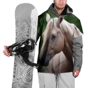 Накидка на куртку 3D с принтом Лошадь в Белгороде, 100% полиэстер |  | вожжи | голоп | грация | езда | есаул | жеребец | животное | кобыла | кобылица | конь | копыта | копыто | лошадь | пегас | пони | рысак | сбруя | скакун | скачет | скачка | стойло | троя