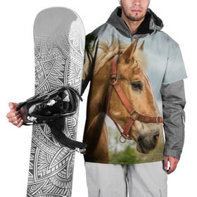 Накидка на куртку 3D с принтом Лошадка в Белгороде, 100% полиэстер |  | вожжи | голоп | грация | езда | есаул | жеребец | животное | кобыла | кобылица | конь | копыта | копыто | лошадь | пегас | пони | рысак | сбруя | скакун | скачет | скачка | стойло | троя