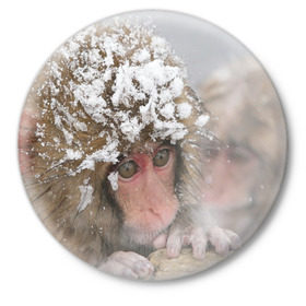 Значок с принтом Обезьянка и зима в Белгороде,  металл | круглая форма, металлическая застежка в виде булавки | Тематика изображения на принте: бабуин | гамадрил | гиббон | горилла | гуманоид | дарвин | животное | зоопарк | кинг конг | мартышка | маугли | обезьяна | орангутанг | предок | примат | рожа | хомо сапиенс | шимпанзе