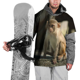 Накидка на куртку 3D с принтом Мартышка в Белгороде, 100% полиэстер |  | животное | мартышка | обезьяна | примат