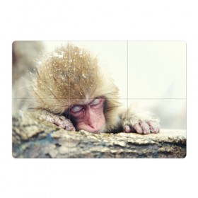Магнитный плакат 3Х2 с принтом Обезьянка спит в Белгороде, Полимерный материал с магнитным слоем | 6 деталей размером 9*9 см | бабуин | животное | обезьяна | орангутанг | примат