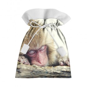 Подарочный 3D мешок с принтом Обезьянка спит в Белгороде, 100% полиэстер | Размер: 29*39 см | бабуин | животное | обезьяна | орангутанг | примат