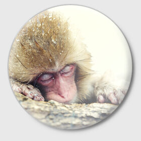 Значок с принтом Обезьянка спит в Белгороде,  металл | круглая форма, металлическая застежка в виде булавки | Тематика изображения на принте: бабуин | животное | обезьяна | орангутанг | примат