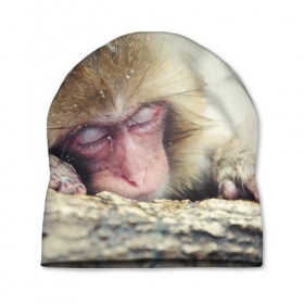 Шапка 3D с принтом Обезьянка спит в Белгороде, 100% полиэстер | универсальный размер, печать по всей поверхности изделия | бабуин | животное | обезьяна | орангутанг | примат