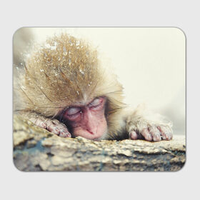 Коврик прямоугольный с принтом Обезьянка спит в Белгороде, натуральный каучук | размер 230 х 185 мм; запечатка лицевой стороны | бабуин | животное | обезьяна | орангутанг | примат