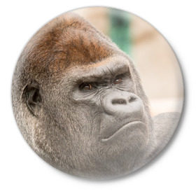 Значок с принтом Обезьяна в Белгороде,  металл | круглая форма, металлическая застежка в виде булавки | Тематика изображения на принте: горилла | животное | обезьяна | примат