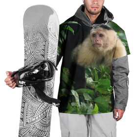 Накидка на куртку 3D с принтом Обезьянка в джунглях в Белгороде, 100% полиэстер |  | бабуин | гамадрил | гиббон | горилла | гуманоид | дарвин | животное | зоопарк | кинг конг | мартышка | маугли | обезьяна | орангутанг | предок | примат | рожа | хомо сапиенс | шимпанзе