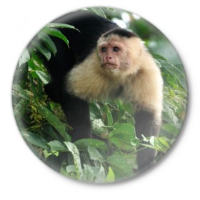 Значок с принтом Обезьянка в джунглях в Белгороде,  металл | круглая форма, металлическая застежка в виде булавки | Тематика изображения на принте: бабуин | гамадрил | гиббон | горилла | гуманоид | дарвин | животное | зоопарк | кинг конг | мартышка | маугли | обезьяна | орангутанг | предок | примат | рожа | хомо сапиенс | шимпанзе