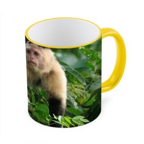 Кружка 3D с принтом Обезьянка в джунглях в Белгороде, керамика | ёмкость 330 мл | бабуин | гамадрил | гиббон | горилла | гуманоид | дарвин | животное | зоопарк | кинг конг | мартышка | маугли | обезьяна | орангутанг | предок | примат | рожа | хомо сапиенс | шимпанзе