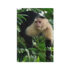 Обложка для паспорта матовая кожа с принтом Обезьянка в джунглях в Белгороде, натуральная матовая кожа | размер 19,3 х 13,7 см; прозрачные пластиковые крепления | Тематика изображения на принте: бабуин | гамадрил | гиббон | горилла | гуманоид | дарвин | животное | зоопарк | кинг конг | мартышка | маугли | обезьяна | орангутанг | предок | примат | рожа | хомо сапиенс | шимпанзе