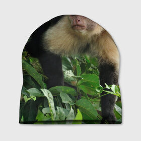 Шапка 3D с принтом Обезьянка в джунглях в Белгороде, 100% полиэстер | универсальный размер, печать по всей поверхности изделия | Тематика изображения на принте: бабуин | гамадрил | гиббон | горилла | гуманоид | дарвин | животное | зоопарк | кинг конг | мартышка | маугли | обезьяна | орангутанг | предок | примат | рожа | хомо сапиенс | шимпанзе