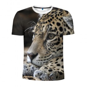 Мужская футболка 3D спортивная с принтом Леопард в Белгороде, 100% полиэстер с улучшенными характеристиками | приталенный силуэт, круглая горловина, широкие плечи, сужается к линии бедра | властелин | грация | животные | зверь | кот | кошачий | кошки | крупный | леопард | лес | милый | млекопитающее | природа | пятна | рыжий | усатый | усы | фауна | флора | хищник | хозяин | царь джунгли