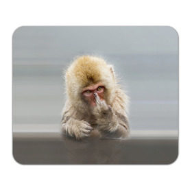 Коврик прямоугольный с принтом Японская макака в Белгороде, натуральный каучук | размер 230 х 185 мм; запечатка лицевой стороны | макак | мартышка | обезьяна | палец | япония