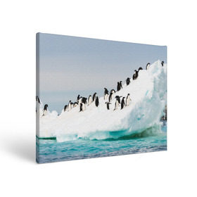 Холст прямоугольный с принтом Пингвины на айсберге в Белгороде, 100% ПВХ |  | айсберг | антарктида | антарктика | арктика | буревестник | глупый | императорский | клюв | королевский | крылья | ласты | лёд | линукс | океан | пилигрим | полюс | птица | север | снег | умка | фрак