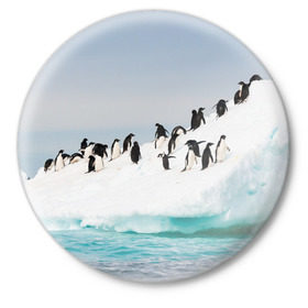 Значок с принтом Пингвины на айсберге в Белгороде,  металл | круглая форма, металлическая застежка в виде булавки | айсберг | антарктида | антарктика | арктика | буревестник | глупый | императорский | клюв | королевский | крылья | ласты | лёд | линукс | океан | пилигрим | полюс | птица | север | снег | умка | фрак
