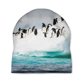 Шапка 3D с принтом Пингвины на айсберге в Белгороде, 100% полиэстер | универсальный размер, печать по всей поверхности изделия | айсберг | антарктида | антарктика | арктика | буревестник | глупый | императорский | клюв | королевский | крылья | ласты | лёд | линукс | океан | пилигрим | полюс | птица | север | снег | умка | фрак