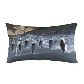 Подушка 3D антистресс с принтом Ночные пингвины в горах в Белгороде, наволочка — 100% полиэстер, наполнитель — вспененный полистирол | состоит из подушки и наволочки на молнии | 