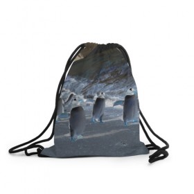 Рюкзак-мешок 3D с принтом Ночные пингвины в горах в Белгороде, 100% полиэстер | плотность ткани — 200 г/м2, размер — 35 х 45 см; лямки — толстые шнурки, застежка на шнуровке, без карманов и подкладки | 