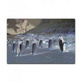 Пазл магнитный 126 элементов с принтом Ночные пингвины в горах в Белгороде, полимерный материал с магнитным слоем | 126 деталей, размер изделия —  180*270 мм | 