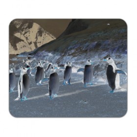 Коврик прямоугольный с принтом Ночные пингвины в горах в Белгороде, натуральный каучук | размер 230 х 185 мм; запечатка лицевой стороны | 