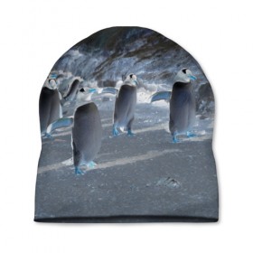 Шапка 3D с принтом Ночные пингвины в горах в Белгороде, 100% полиэстер | универсальный размер, печать по всей поверхности изделия | 