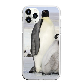 Чехол для iPhone 11 Pro Max матовый с принтом Пингвин и пингвинята в Белгороде, Силикон |  | айсберг | антарктида | антарктика | арктика | буревестник | глупый | императорский | клюв | королевский | крылья | ласты | лёд | линукс | океан | пилигрим | полюс | птица | север | снег | умка | фрак